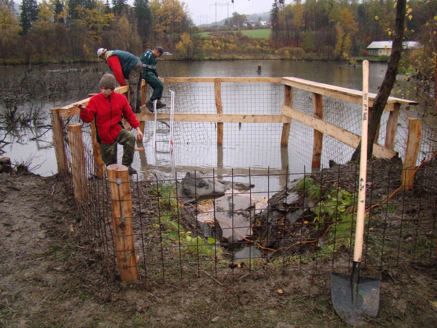 First beaver deceiver in Czech Republic preparation