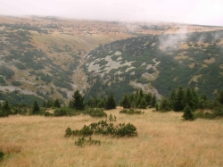 Krkonoe Mountains - habitats of black grouse and deer mating (c) Vlastimil Kostkan