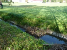 Other beaver activities in the area.  Dana Bartoov, PLA Beskydy